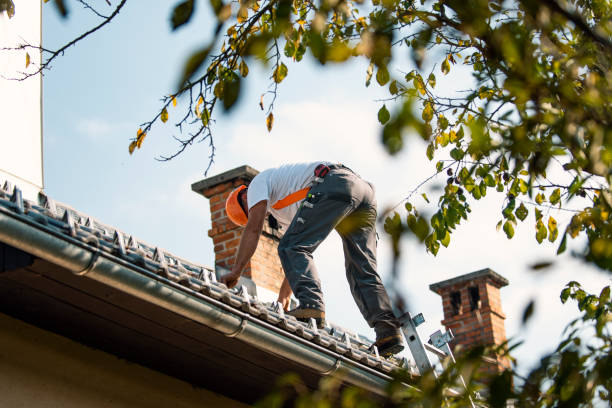 Roof Installation Near Me in Lake Wildwood, CA