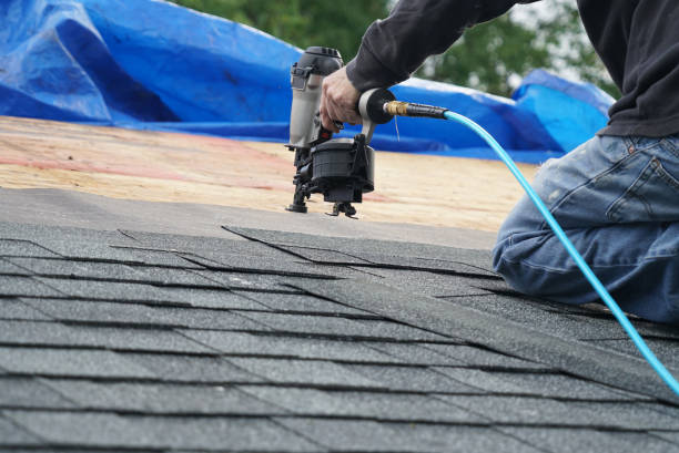 Best Roof Gutter Cleaning  in Lake Wildwood, CA